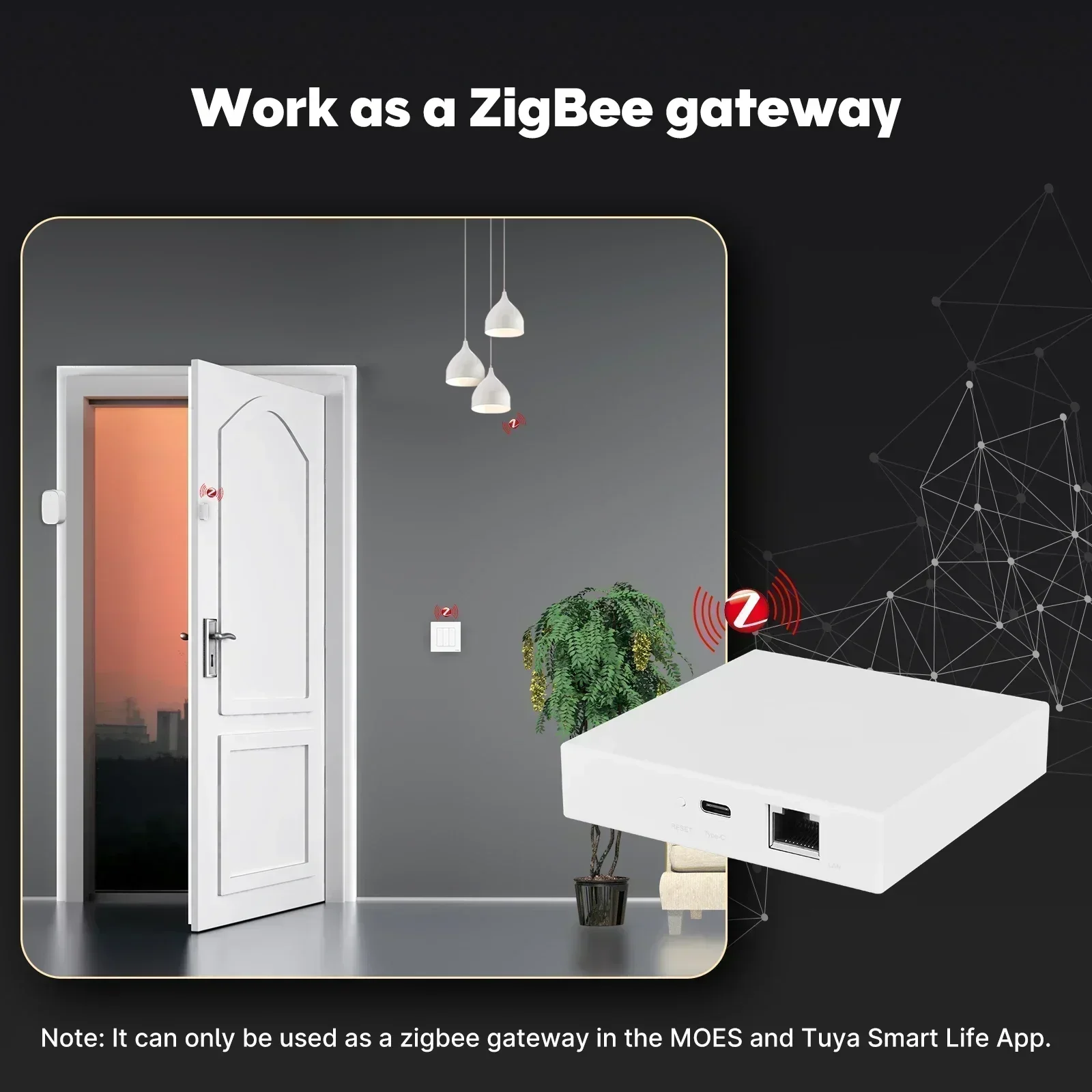 MOES Tuya Zigbee Matter Thread - مراجعة Smart Home Dashboard وسعره
