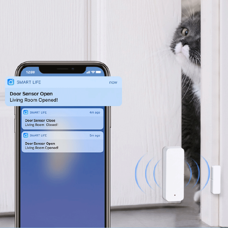 مستشعر الاتصال بالباب والنافذة - مراجعة Smart Home Yandex وسعره